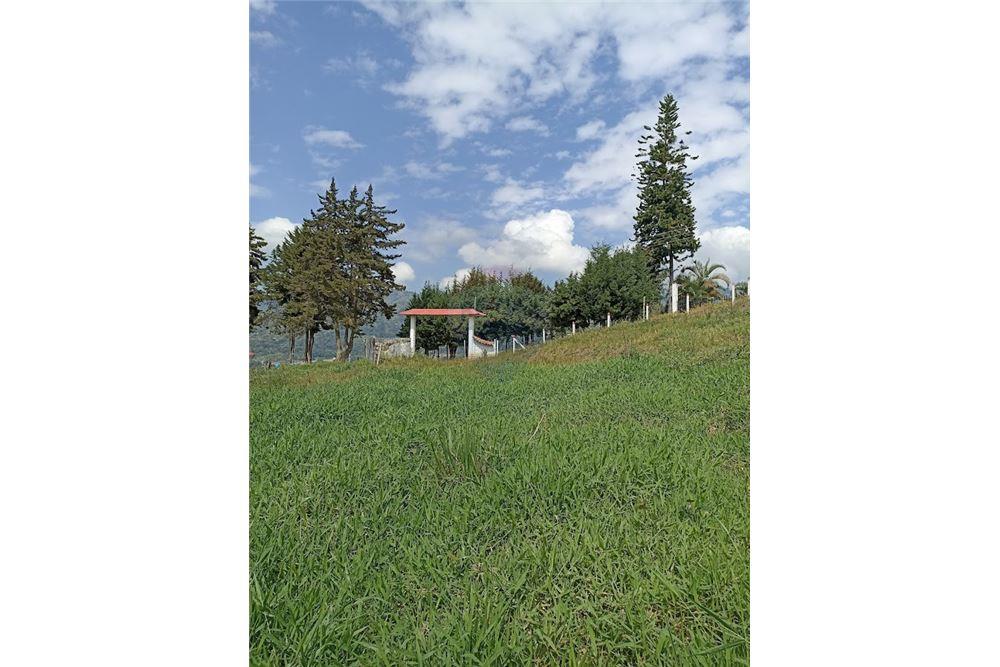 3 Lots for Sale in Silvania - 3 Lotes en Venta en Silvania